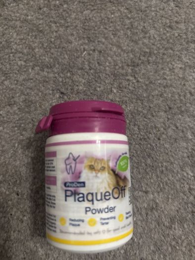 cat stuffs