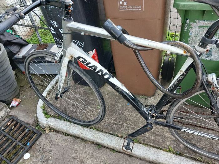 giant bike