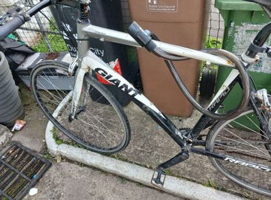 giant bike