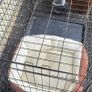 Medium Sized Dig Crate Image 2