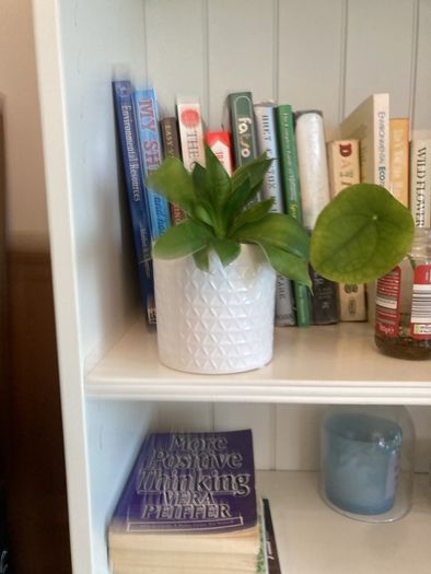 plants
