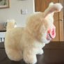 LABUBU Dog - Lights up / Walks / Sings Labubu Song (White) Image 2