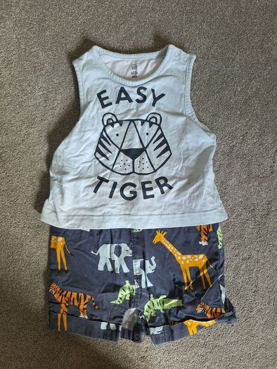 Baby Boys Clothes Bundle 12 - 18 Months
