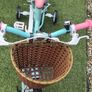 kids bike Image 4