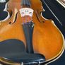 viola Image 5