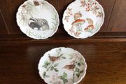 Vintage Royal Albert Bone China Country Walk Collection Picture decorative Display Plates X3
