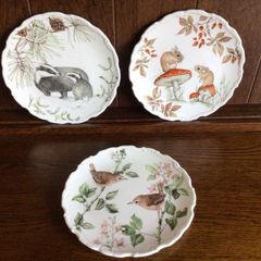 Vintage Royal Albert Bone China Country Walk Collection Picture decorative Display Plates X3