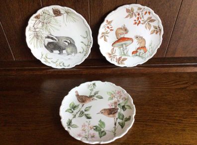 Vintage Royal Albert Bone China Country Walk Collection Picture decorative Display Plates X3