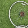 Biks Image 2