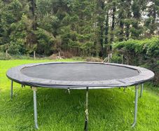 Plum Trampoline