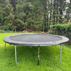 Plum Trampoline