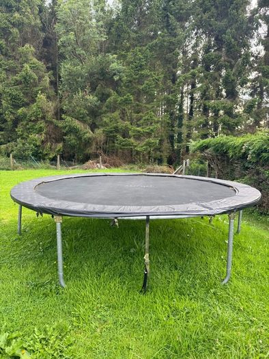 Plum Trampoline