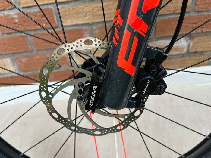 Frog Mountain Bike