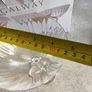 GALWAY CRYSTAL The Erne Clear Collection Erne Set of Four boxed Champagne Saucers Image 6
