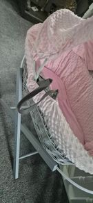 Moses basket