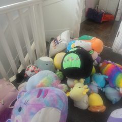 squishmallow teddies