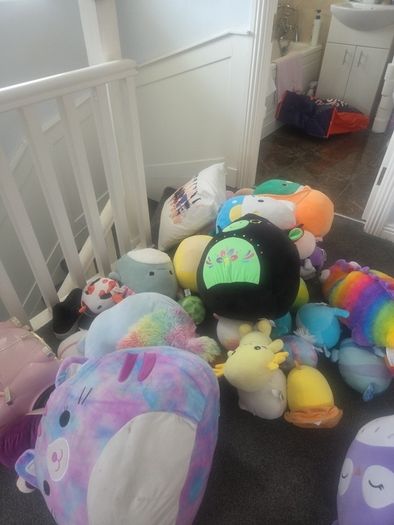 squishmallow teddies