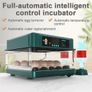 24 Egg Incubator Automatic Temperature Humidity Image 3