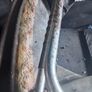 Vintage Silver Cross Coach-Built Pram Image 5