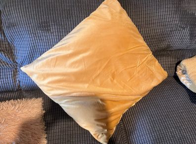 cushion