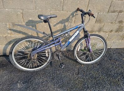 Mountain Bike (Teen)