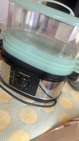 Food Steamer