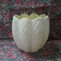 Beleek Celery Pot