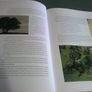 Stories from a sacred landscape Croghan Hill to Clonmacnoise Ireland Offaly Image 4