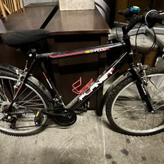 Mens Bicycle
