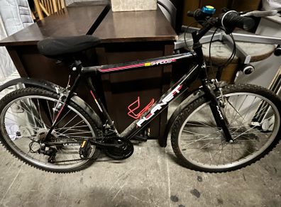 Mens Bicycle