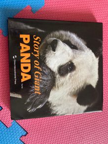 Story of Giant Panda a book full of facts and pictures