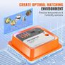 NEW SALE | Egg Incubator Incubators for Hatching Eggs Auto Egg Turning 12 Eggs Image 3