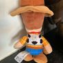 Posh paws Woody Toy Story Image 2
