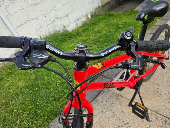 Frog 55 Bike