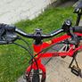 Frog 55 Bike Image 2