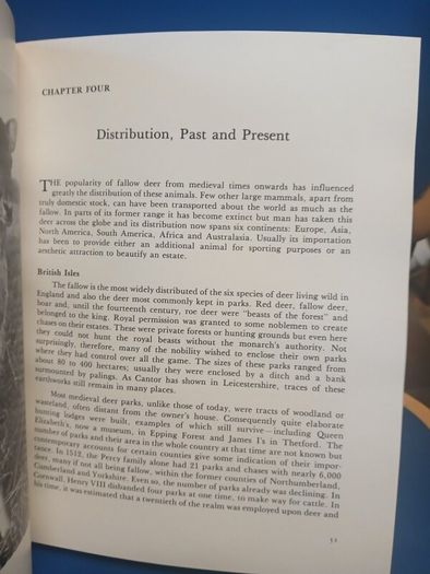 Fallow Deer book