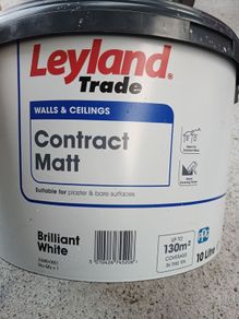 Wall and ceiling paint
