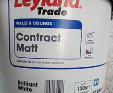 Wall and ceiling paint