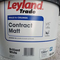 Wall and ceiling paint