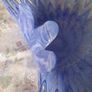 Murano Glass - Art Glass Bowl Image 6