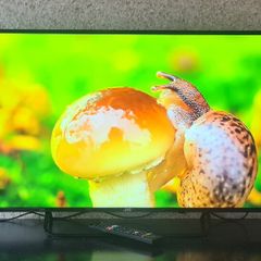 JVC 40 LED Smart Full HD Android TV  Excellent Condition