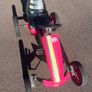 Berg Rally Pearl Go Kart Image 3