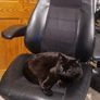office chair Image 5