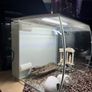 Fish tank Fluval Image 7