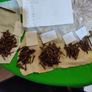 Antique Domehead Slotted screws Image 3