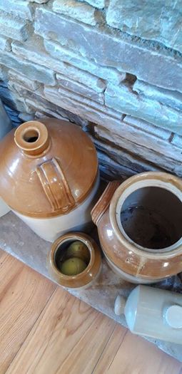 Collection of Eight Antique Stoneware Jars including Two Antique Hot Water Bottles