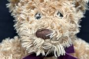 Warm and Cosy Bear
