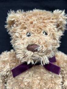 Warm and Cosy Bear