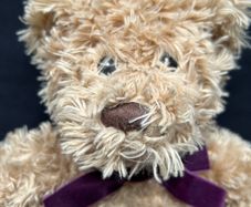 Warm and Cosy Bear