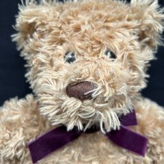 Warm and Cosy Bear